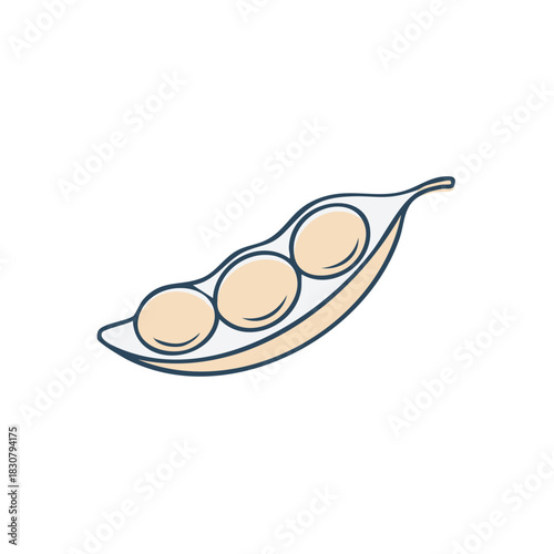 Illustration of a pod with three seeds