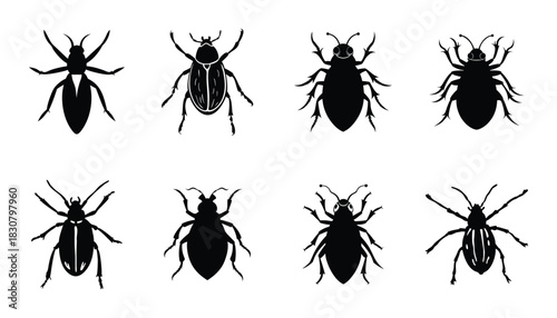 Unique black insect silhouettes for scientific study or educational use