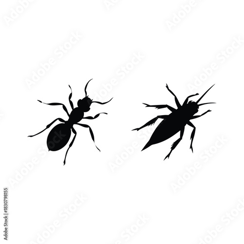 Ant and cricket silhouette design for nature projects and insect studies
