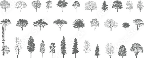 Monochrome hand-drawn tree silhouette vector set, varied tree shapes, editable scalable EPS SVG icons for botanical landscapes and design projects