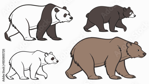 Diverse Collection of Four Bear Species Illustration Set Including Panda Polar Grizzly and Black Bear Wildlife Education