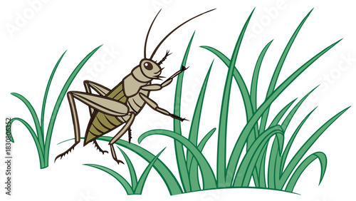 Cute Green Cricket Insect Exploring Lush Grass Meadow Cartoon Vector Illustration for Kids Nature Education and Garden Design