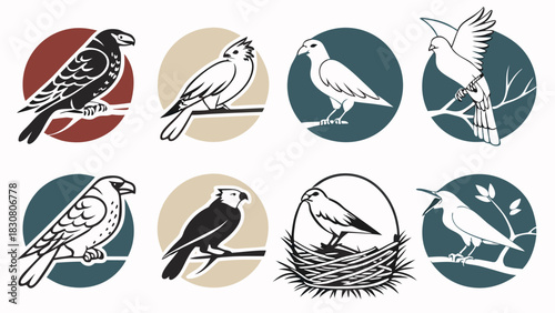Illustrated Birds Collection. Diverse Avian Graphics Perched, Flying, Nesting for Nature Logos, Environmental Branding, and Web Design.