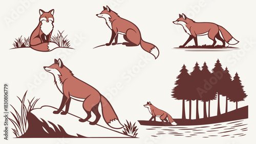 Red Fox Vector Illustration Set Wildlife Nature Animals in Diverse Poses for Forest Woodland Design Children's Books and Educational Resources