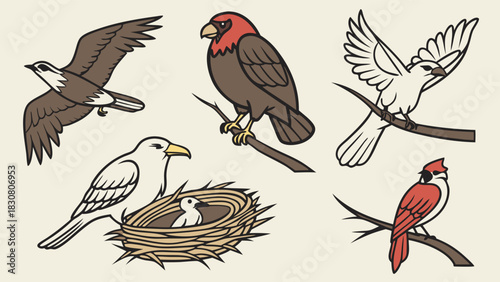 Diverse Birds In Flight Nesting Perched For Nature Wildlife Education Eco Friendly Design Projects