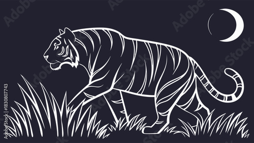 Powerful White Outline Tiger Prowling Through Night Grass Under Crescent Moon. Wildlife Conservation and Nature Strength Vector Art.