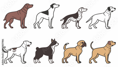Collection of Diverse Dog Breeds Vector Illustration for Pet Care, Veterinary, Animal Rescue, and Training Marketing. Friendly Canine Companions.