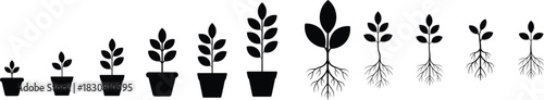 Growing plants business growth concept shown through stages from small to lush. Vector illustration.