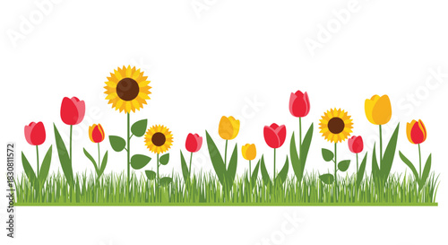A cheerful illustration of a vibrant spring flower bed with red and yellow tulips, sunflowers, and green grass.