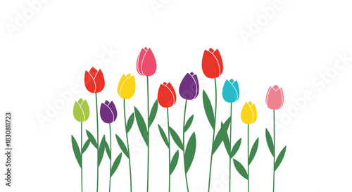 A vibrant row of stylized, colorful tulip flowers with green stems and leaves against a clean white background, perfect for spring and celebration themes.
