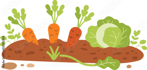 Cartoon Garden Bed with Carrots, Cabbage, and Radish on a White Background Keywords: garden
