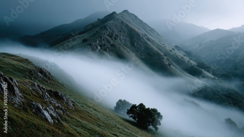 Rolling hills enveloped in soft, mysterious fog create an atmospheric landscape that evokes feelings of serenity and intrigue, inviting viewers to explore nature's beauty.
