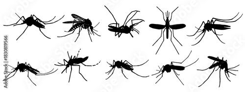 Illustration vektor of black silhouettes set of mosquitos