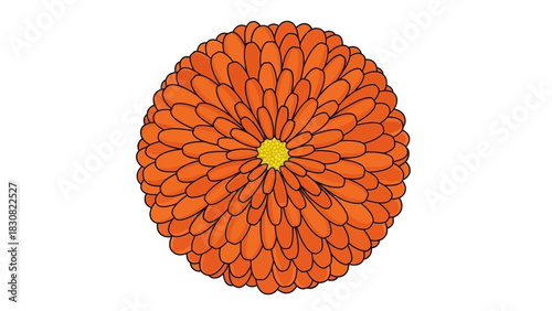 Vibrant Orange Chrysanthemum Bloom A Detailed Vector Illustration of the Flower's Petal Structure