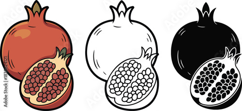 Pomegranate fruit silhouette & Outline and illustration set isolated on transparent background