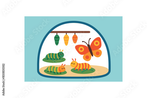 Flat vector illustration of colorful butterfly conservation breeding tent with vivid caterpillars and cocoons rounded shapes minimalistic look