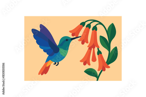Flat vector illustration of colorful hummingbird sipping nectar from bold tubular flowers rounded shapes clean vector style