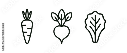 minimal icons carrot black outline beet black outline lettuce leaf black outline