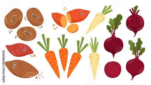 Colorful root vegetables including potatoes, carrots, beets and parsnips