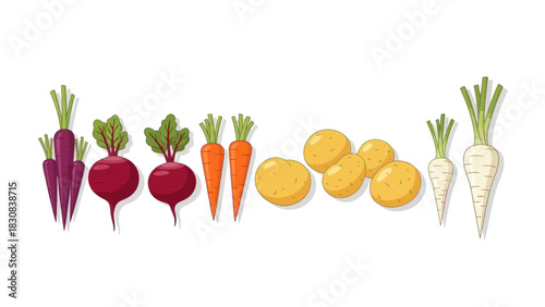 Fresh cartoon vegetables including beets, carrots, and potatoes in a row