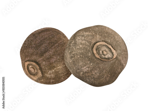 Dried brown allspice seeds watercolor illustration on isolated background. Jamaica pepper, myrtle pepper pile. Aromatic whole spice composition for menu, recipes, mulled wine or cooking decor.