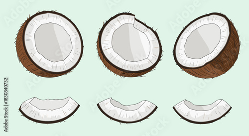 Fresh brown coconuts cut into halves and smaller pieces, revealing white flesh, arranged on a light green background, perfect for tropical themes.