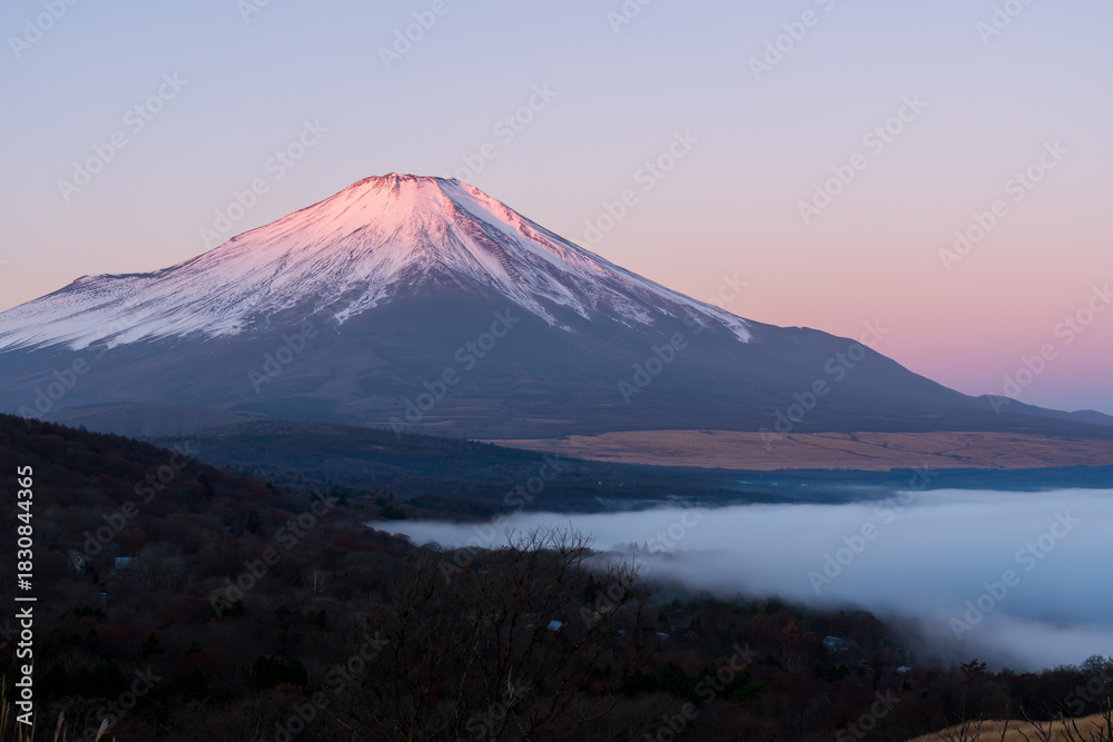 Fototapeta premium 冬の山中湖村パノラマ台から夜明けの雲海と紅富士