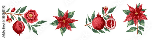 Pomegranate plant branch and Christmas poinsettia flower with noise texture