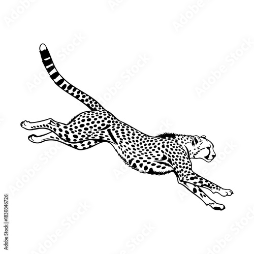 Black and white illustration of a cheetah leaping across a white background