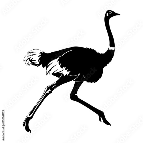 Black and white silhouette of an ostrich walking to the right side view
