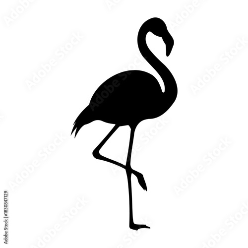 Silhouette of a flamingo standing on one leg against a white background