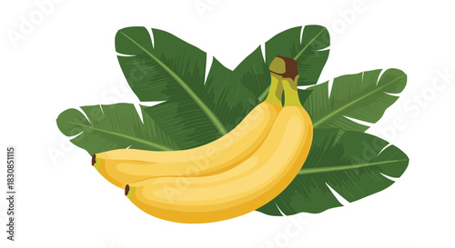 Two ripe yellow bananas are displayed against a backdrop of lush green banana leaves.