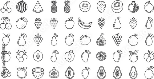 Healthy Fruit Illustration Set – Detailed Minimal Line Icon Pack of Fresh Organic Tropical Fruits for Natural Food and Nutrition Designs