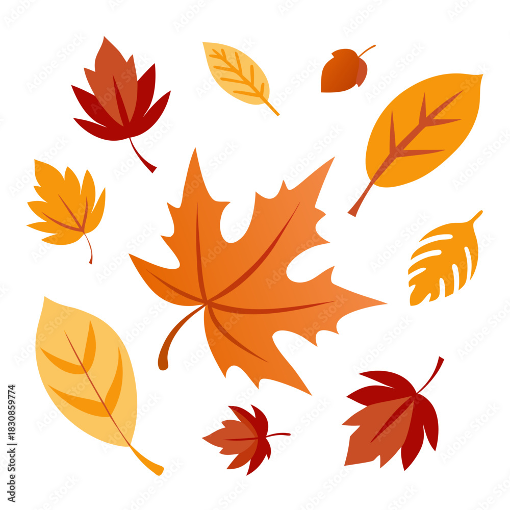 Obraz premium Leaf Silhouette