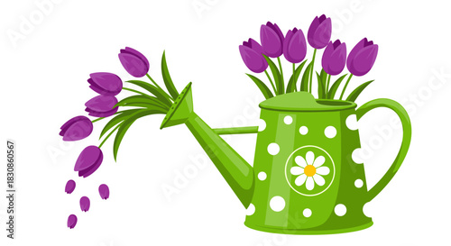 Green watering can with polka dots and a daisy emblem, filled with vibrant purple tulips, some creatively spilling from the spout.