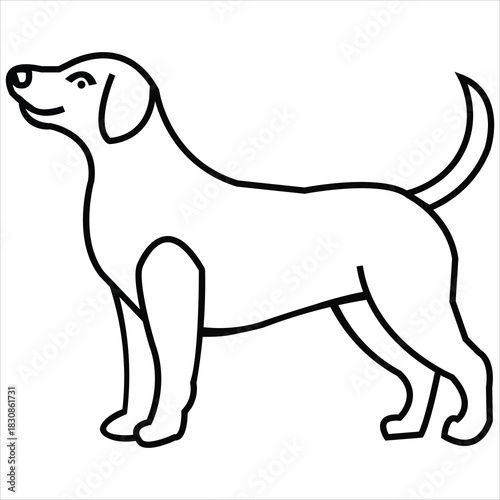 Pet animals are loyal companions that bring joy, comfort, and emotional support. Their playful nature, affection