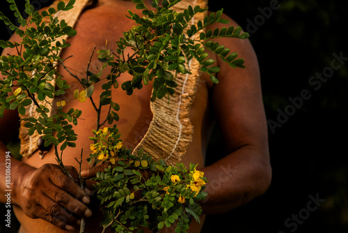 Indigenous Man Holding Tree Branches Pau Brasil Tree and Plant