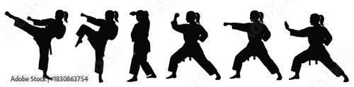 Female Martial Arts Silhouette Set – Karate, Kickboxing, Fighting Poses