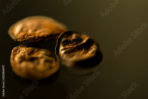 Three dried seeds of pau brasil wood tree photographed against a dark black background. The close-up highlights organic texture, natural form, and botanical detail.