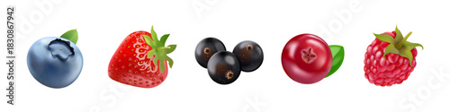 Realistic isolated berries. 3d forest berry mix, blackcurrant blueberry blackberry raspberry strawberry cranberry sweet fruit nature healthy food garden plant vector illustration