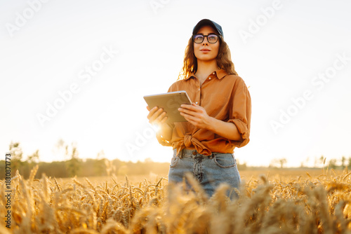 A female farmer stands in a wheat field, holding a digital tablet. A young female agronomist examines the wheat stalks in a field with a tablet. Concept of agriculture, abundant harvest.