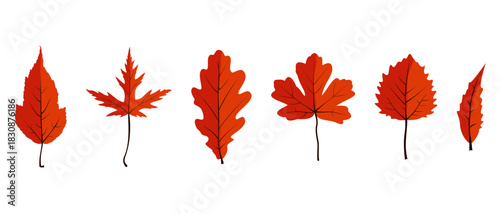 Autumn Leaves Collection. Set of Red and Orange Fall Foliage. Natural Oak, Maple, and Birch Leaf Shapes Isolated Vector Illustration.