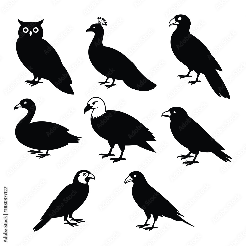 Naklejka premium Collection of seven black bird silhouettes on a white background peacock crow
