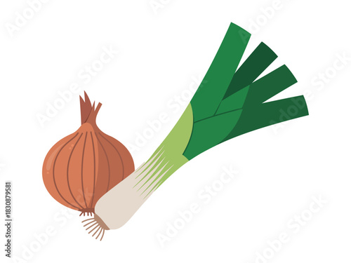 Illustration of a brown onion and a leek with green leaves on white background