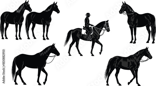 Silhouettes of horses in various poses with a rider on horseback, showcasing equestrian activity, animal movement, farm livestock and rural lifestyle elements