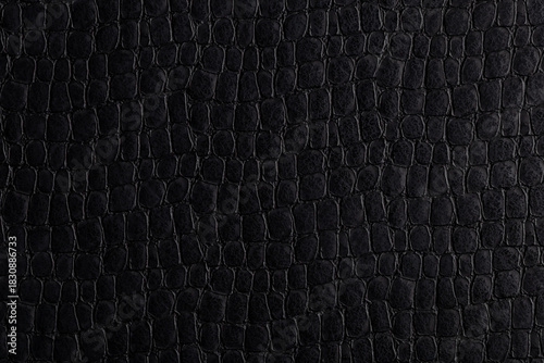 Black snake skin texture pattern can see the surface details use for background