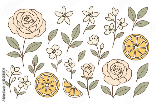Elegant botanical elements including roses, blossoms, green leaves, and yellow lemon slices
