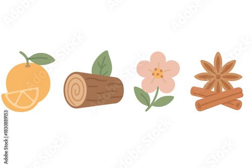 Set of cozy natural elements: orange fruit, wooden log, delicate flower, and aromatic spices