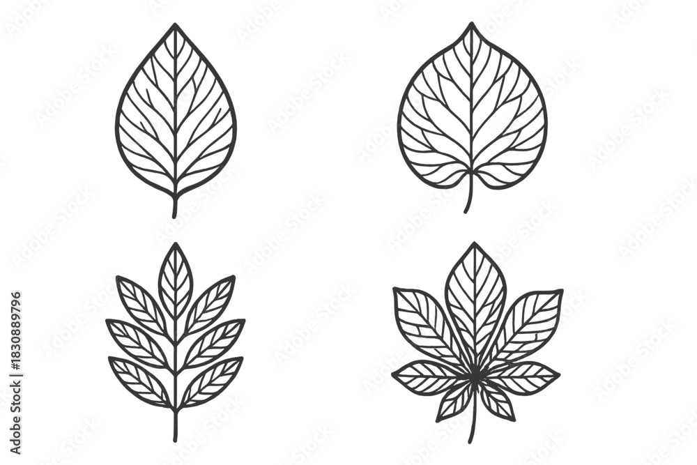 Fototapeta premium Four different botanical leaf outlines in minimalist line art for nature decoration