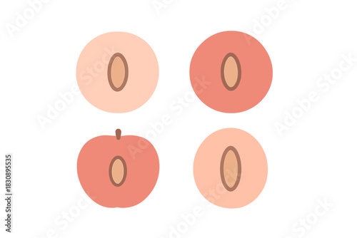 Minimalist cross sections of halved stone fruits showing pit and flesh texture
